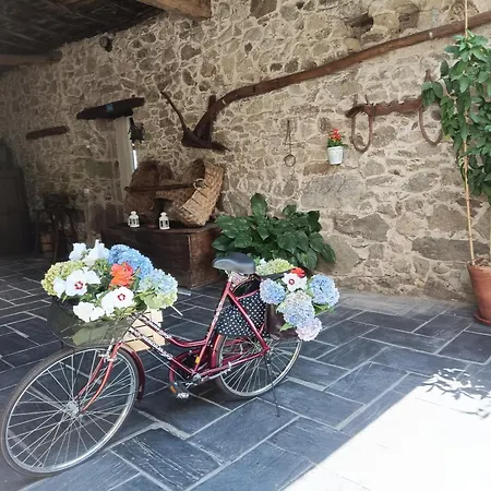 Casa Dos Muros Y Actividades En La Ribeira Sacra Casa de Campo Pantón