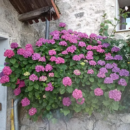 Casa Dos Muros Y Actividades En La Ribeira Sacra * Pantón