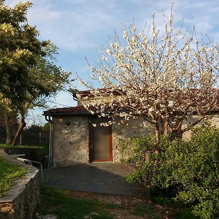 Casa de Campo Casa Dos Muros Y Actividades En La Ribeira Sacra Pantón
