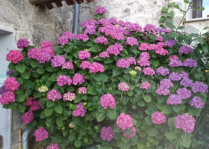 Casa Dos Muros Y Actividades En La Ribeira Sacra * Pantón