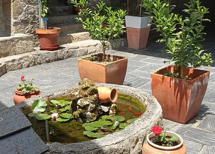 Casa Dos Muros Y Actividades En La Ribeira Sacra Εξοχικό σπίτι *