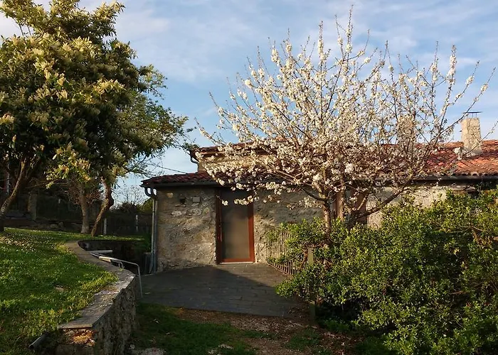 Εξοχικό σπίτι Casa Dos Muros Y Actividades En La Ribeira Sacra Pantón